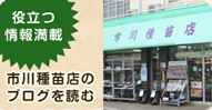 itikawa_blog-2