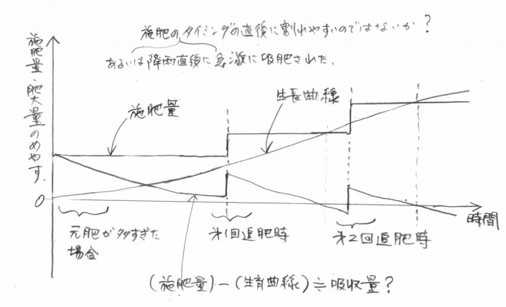 生産物が施肥量を決定づける 大発見 笑 市川種苗店